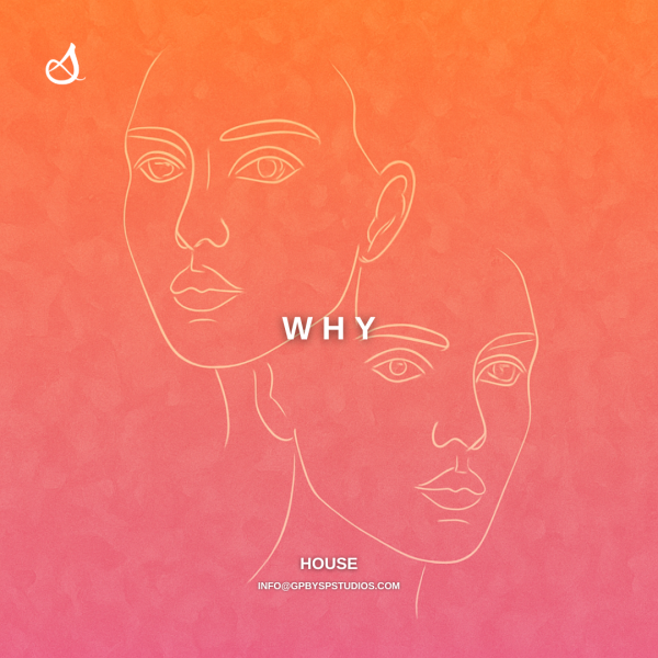 Why Artwork Why